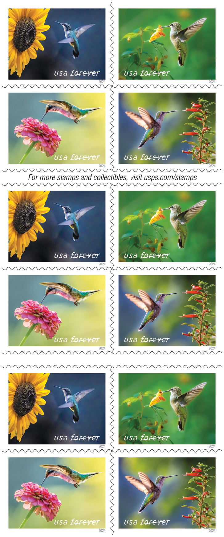 2024 US Garden Delights Postage Stamps Hummingbird Features