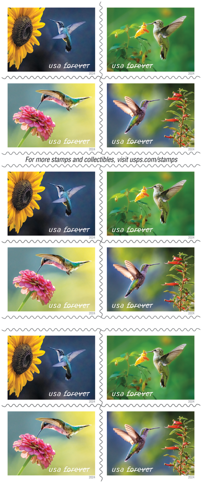 2024 US Garden Delights Postage Stamps Hummingbird Features