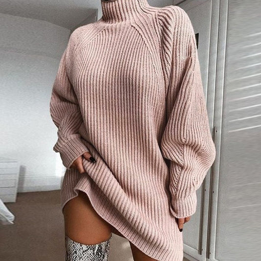 Women's Turtleneck Long Hooded Sweater